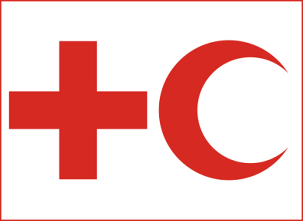 وظائف شاغرة لدى الاتحاد الدولي لجمعيات الصليب الأحمر والهلال الأحمر:Program Manager